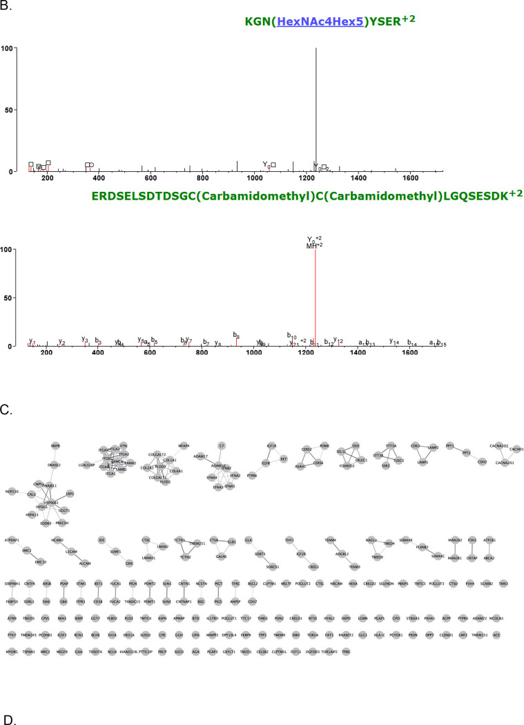 Figure 4: