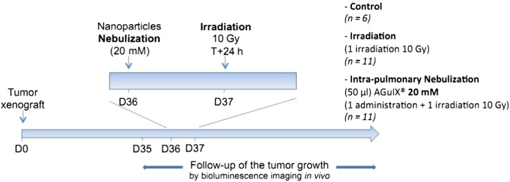 Figure 11.