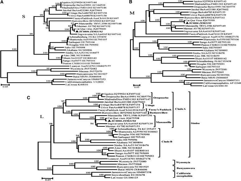 FIG. 2.