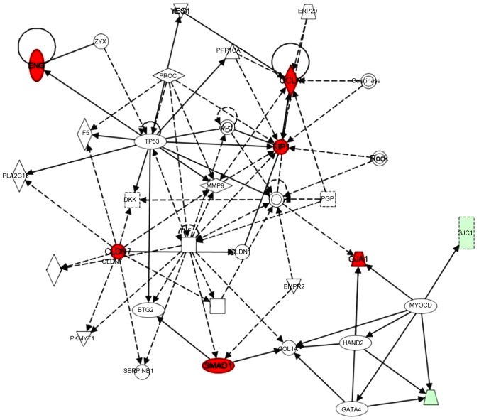 Figure 3.