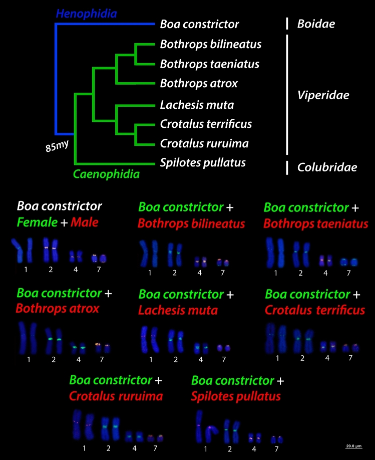 Figure 11