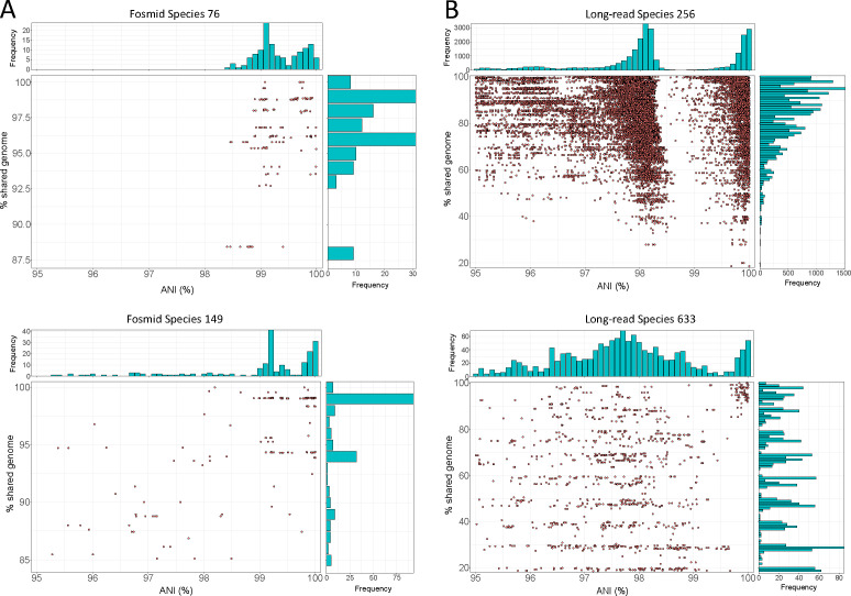 Scatterplots depict the relationship between ANI % and % of aligned genes, while the histograms illustrate the frequency of ANI values for each species. It includes plots for fosmid species 76 and 149, and long-read species 256 and 833.