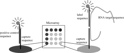 FIG. 1.