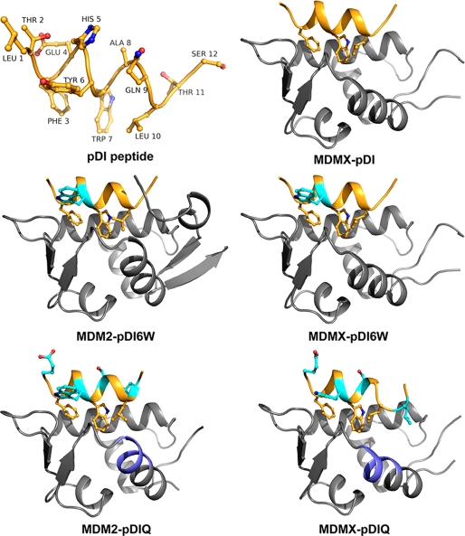 FIGURE 1.