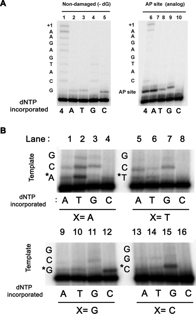 Figure 6.