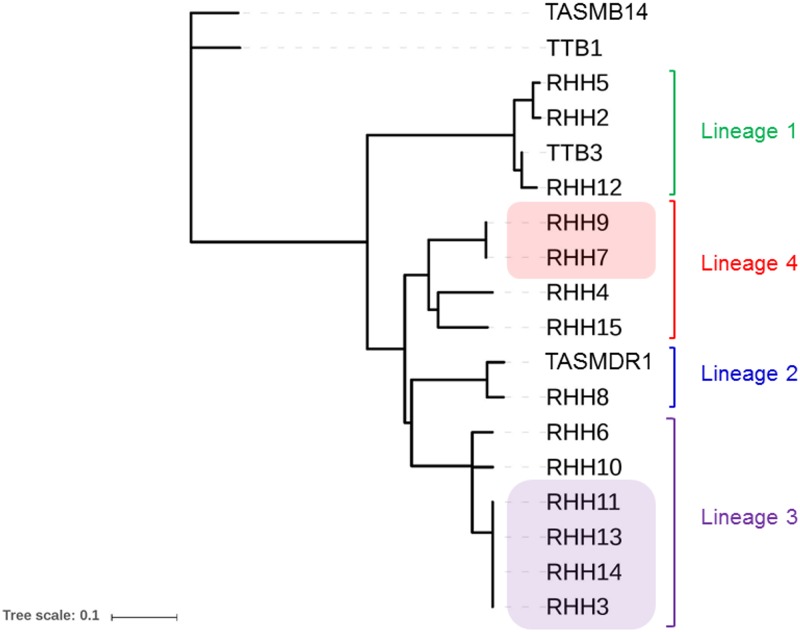 Fig 2