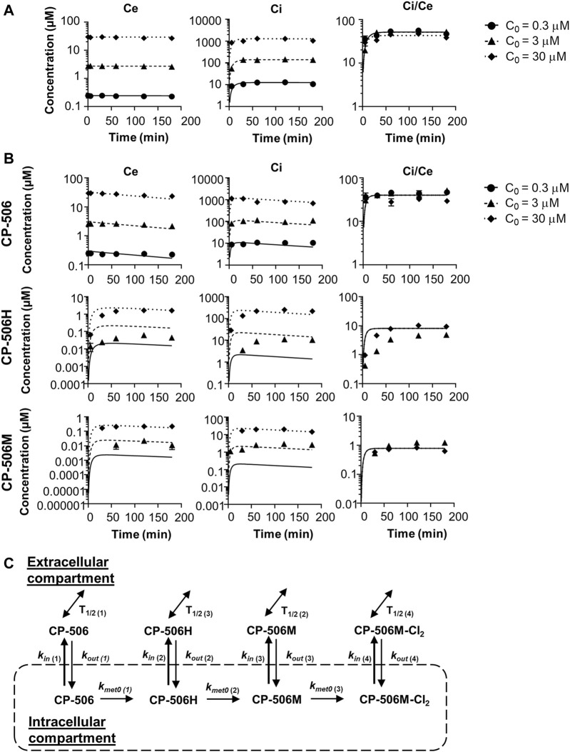 FIGURE 4