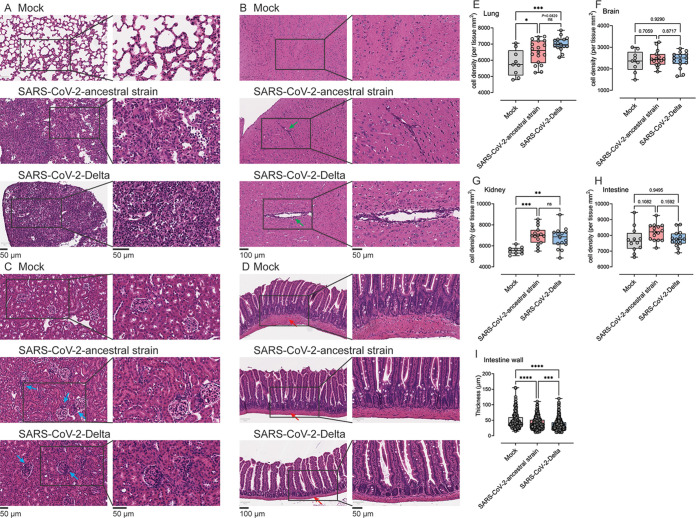 FIG 3