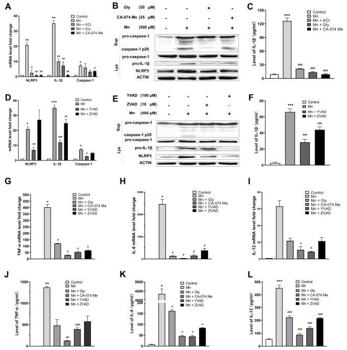 
Figure2
