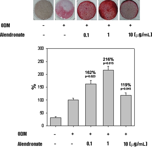 Fig. 4