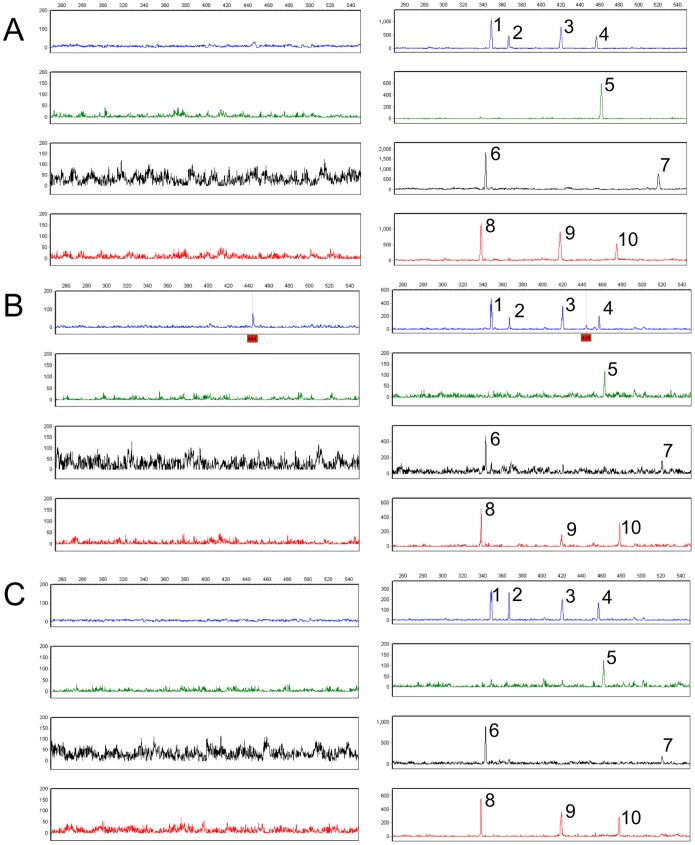 Figure 5