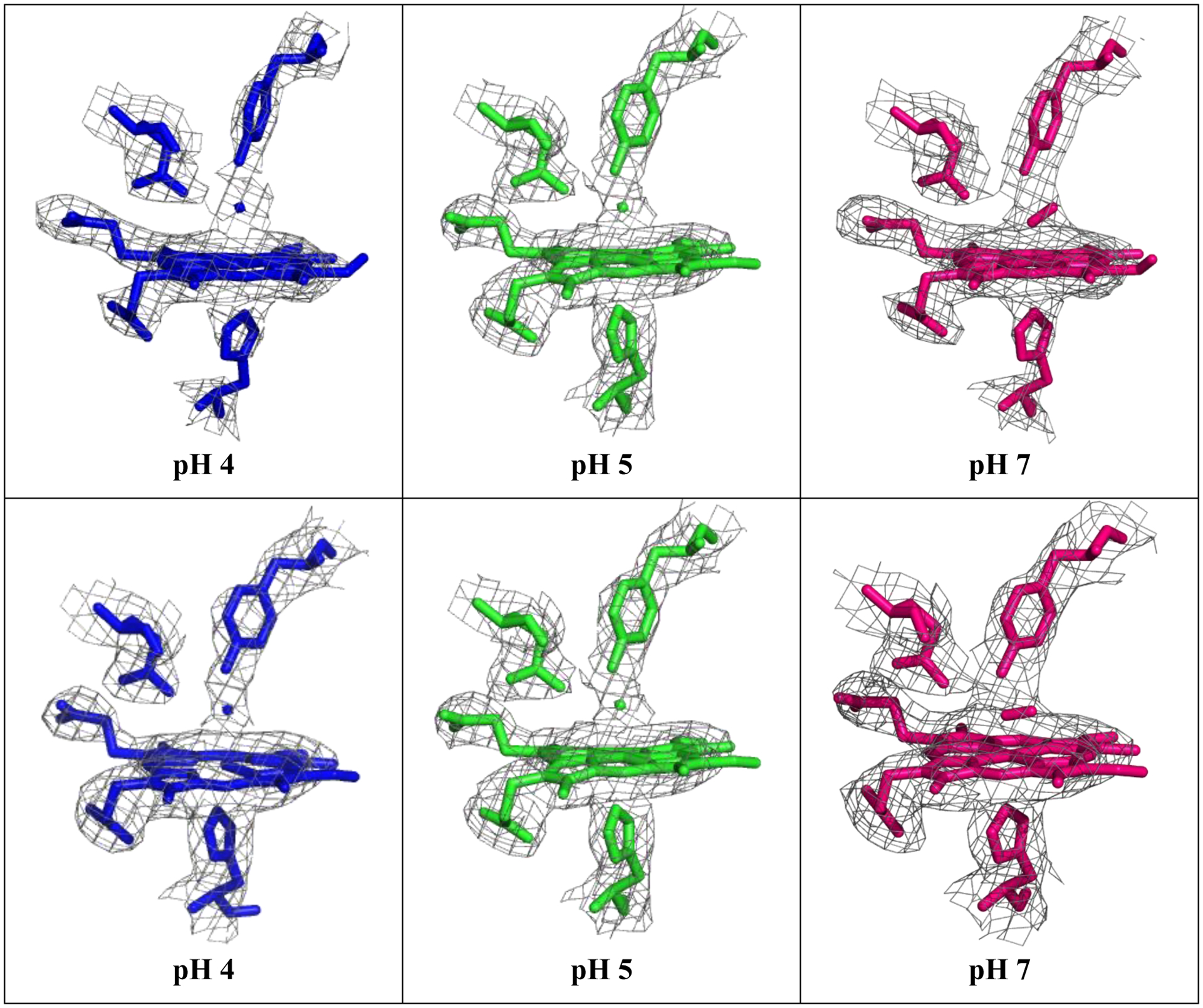 Figure 4: