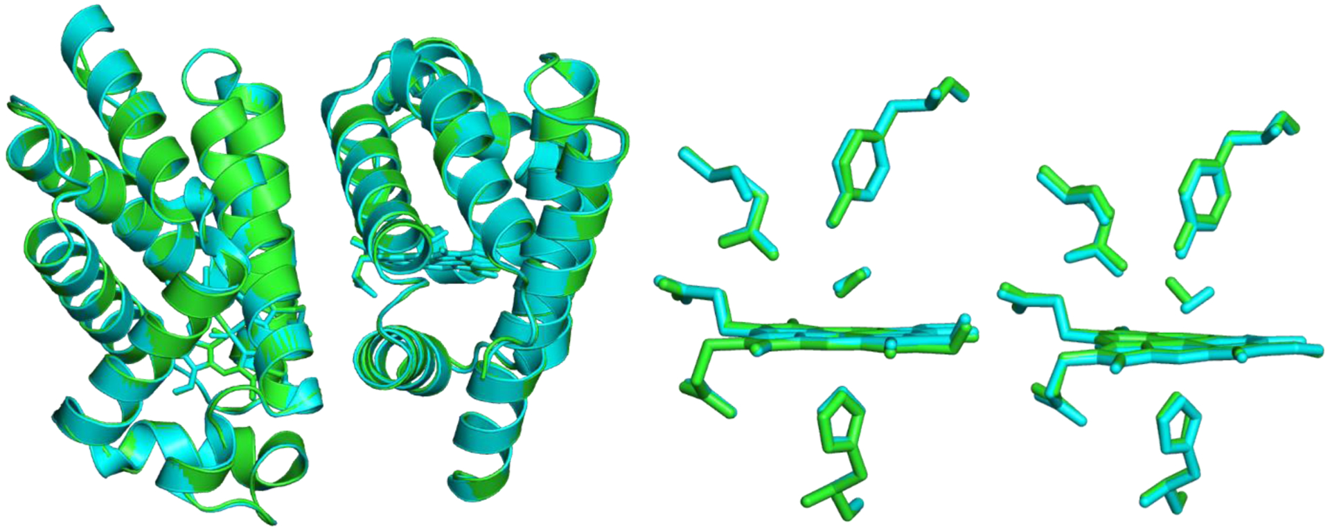 Figure 5: