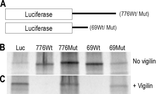 FIG. 5.