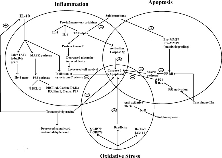 Figure 3 