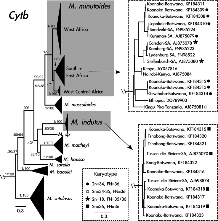 Figure 2.