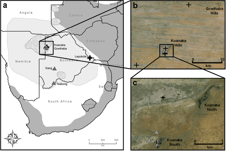 Figure 1.