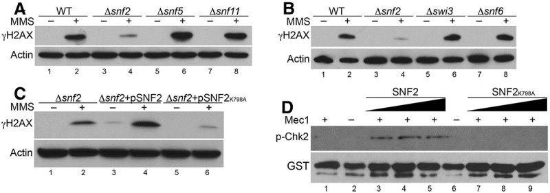 Figure 5.