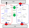 Fig. 7.