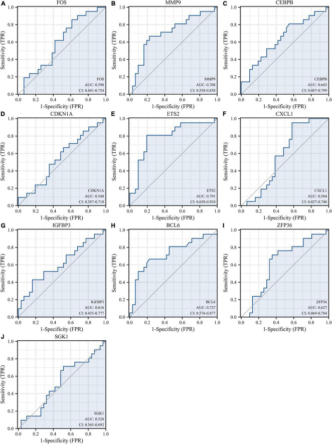 FIGURE 12