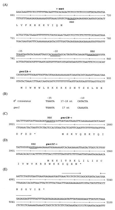 FIG. 5