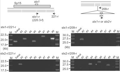 Fig 4.