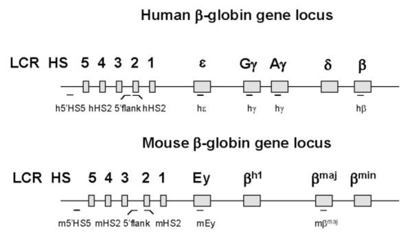 FIG. 1