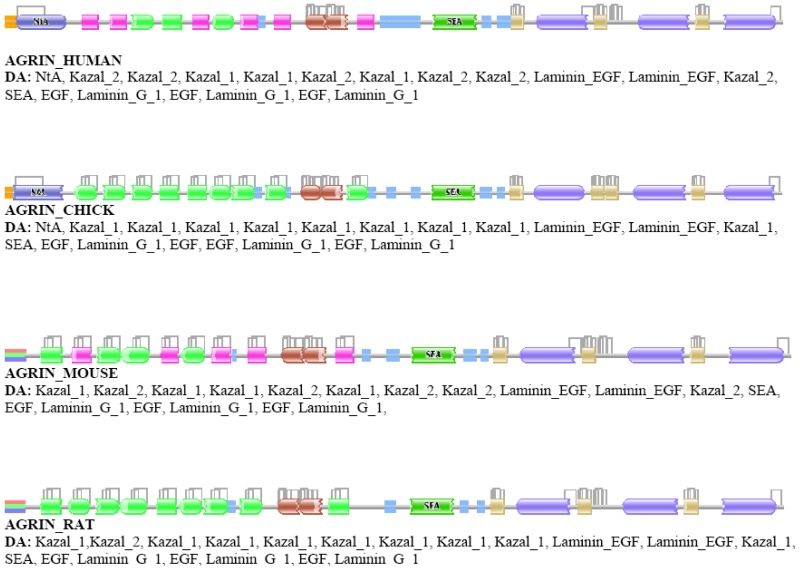 graphic file with name genes-02-00449f3.jpg