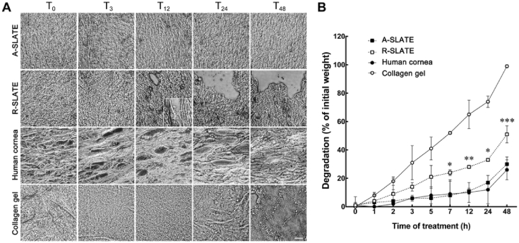 Fig. 6