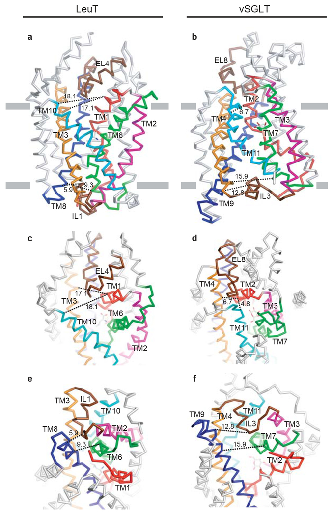 Figure 5 |