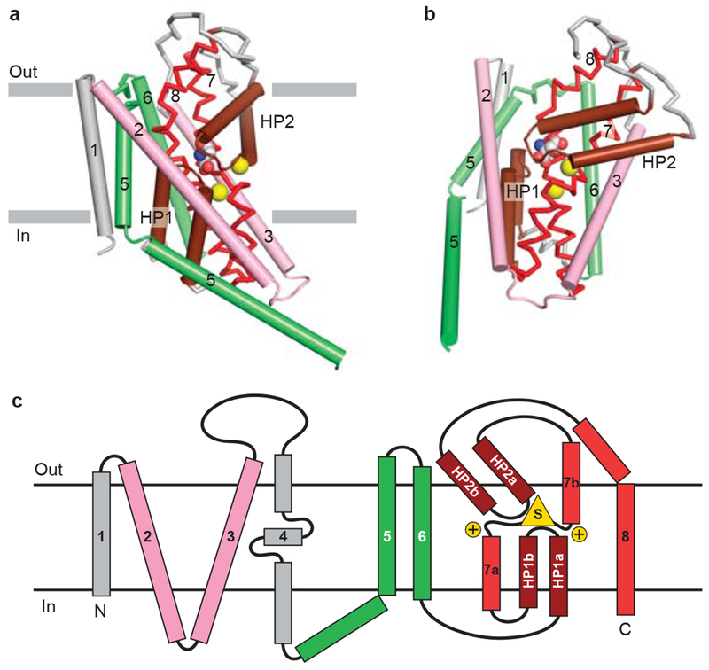 Figure 1 |