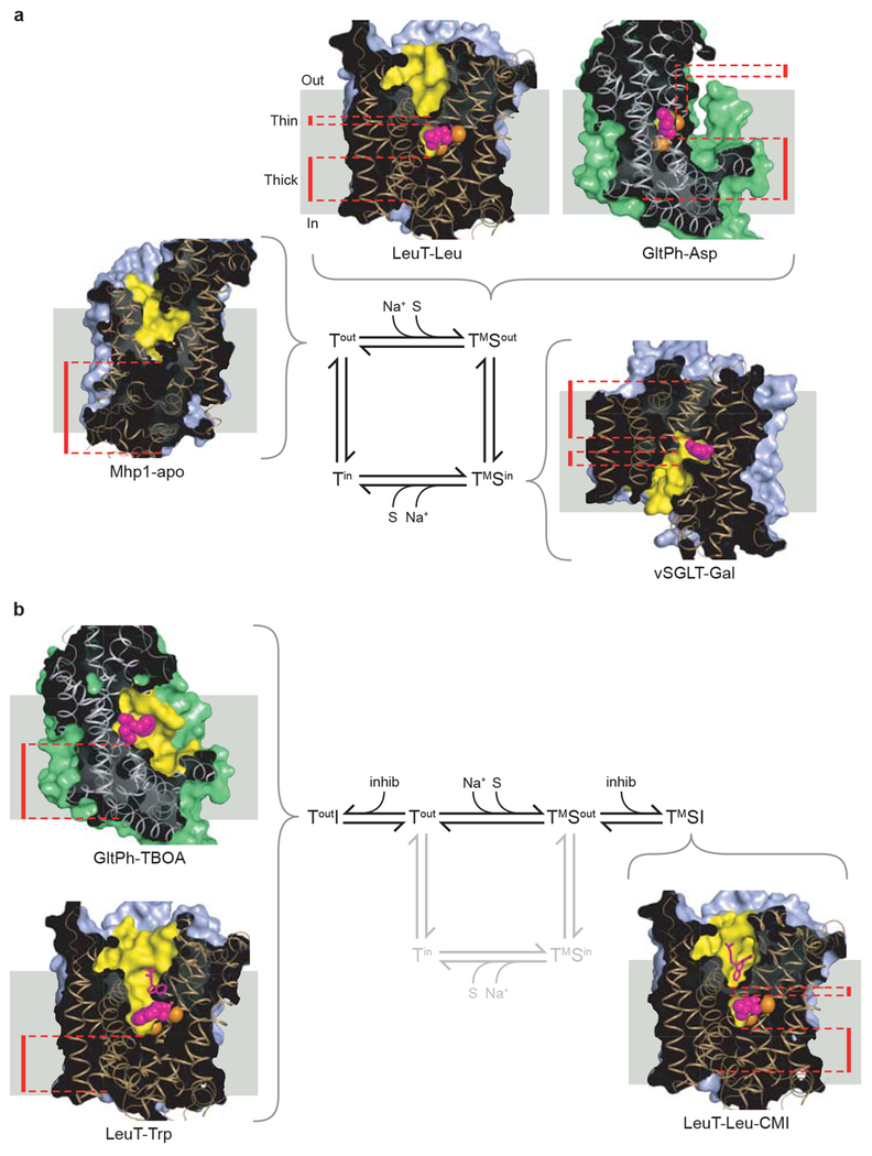 Figure 4 |