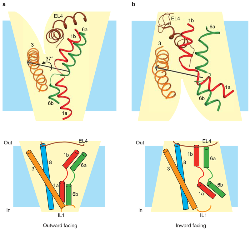 Figure 6 |