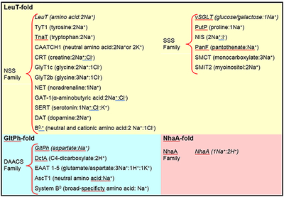 graphic file with name nihms-1055631-f0007.jpg