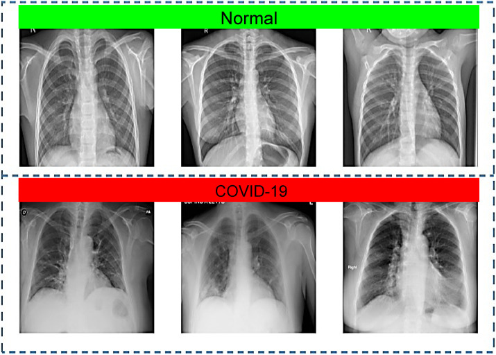 Fig. 7