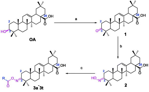 Scheme 1.