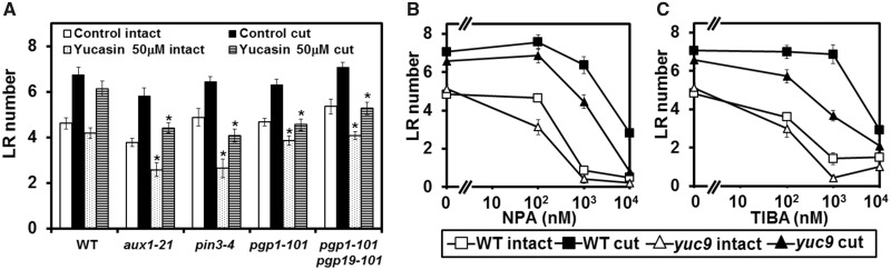 Fig. 8