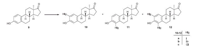 Scheme 2.