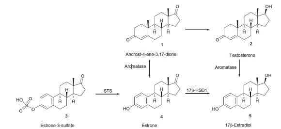 Scheme 1.