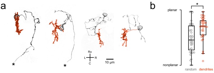 Figure 4—figure supplement 2.