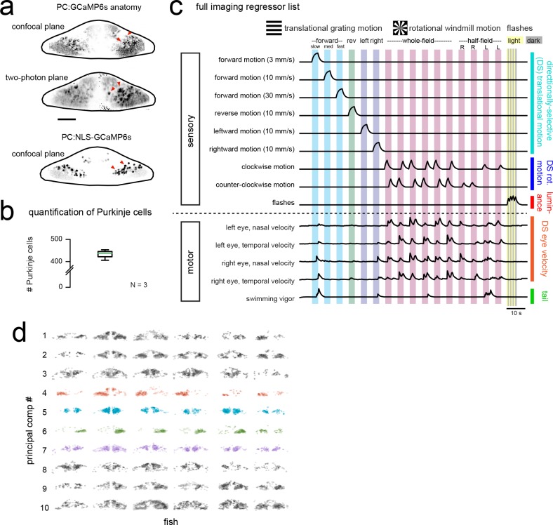 Figure 1—figure supplement 1.