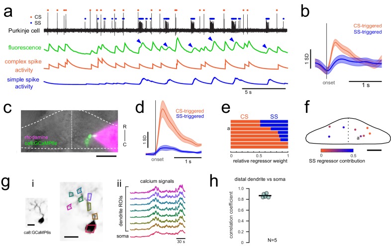 Figure 1—figure supplement 2.