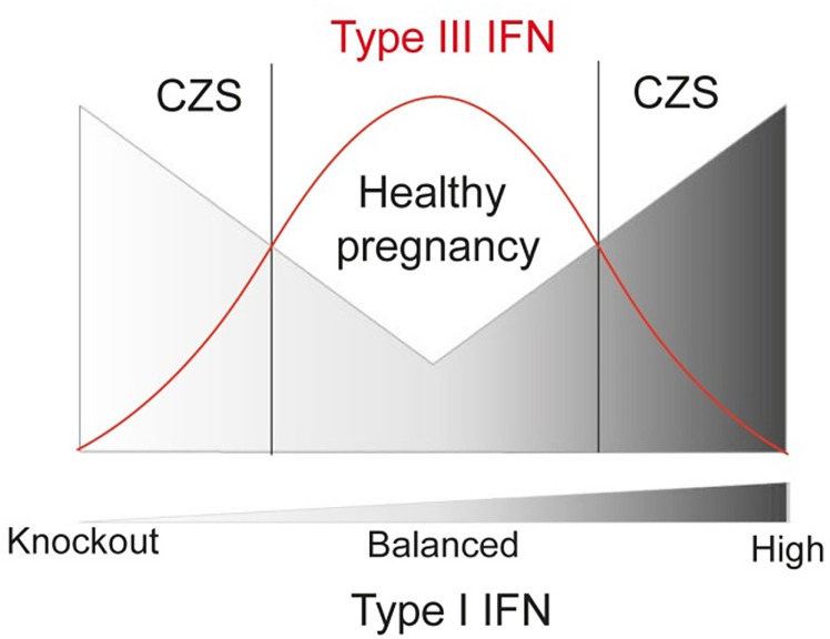 Figure 5