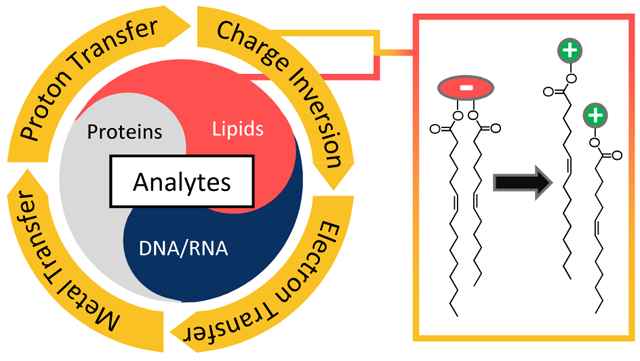 graphic file with name nihms-1058502-f0001.jpg