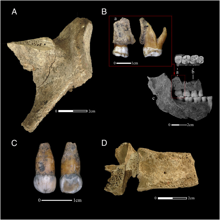 Fig. 2.