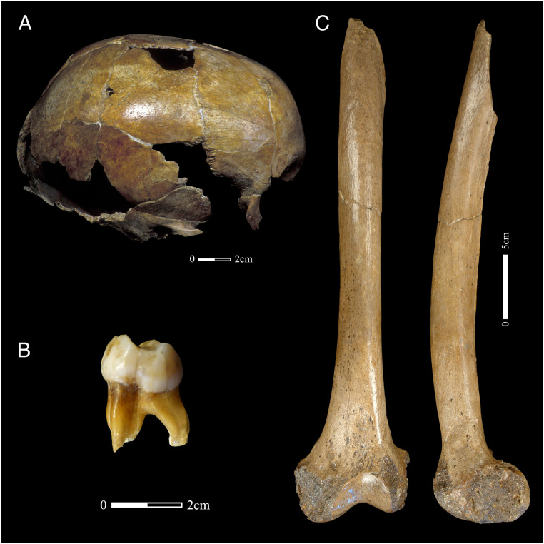 Fig. 3.