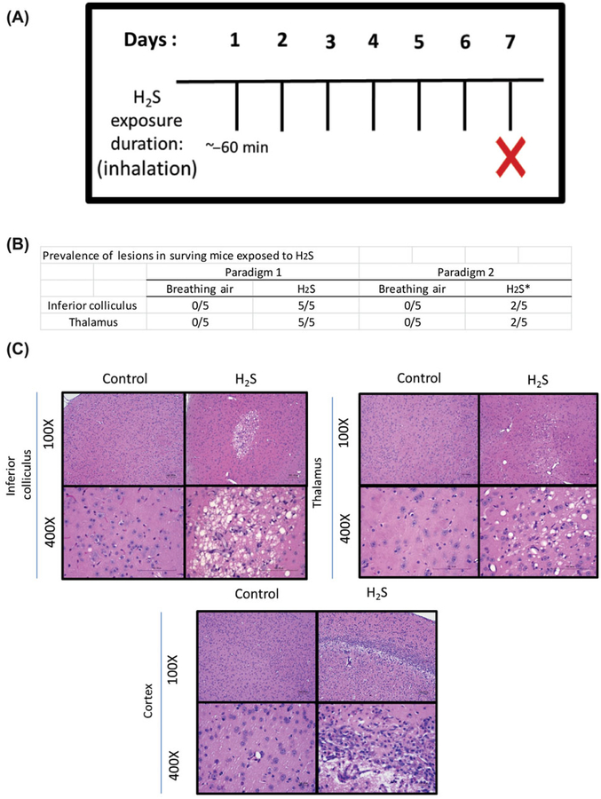 Figure 7.