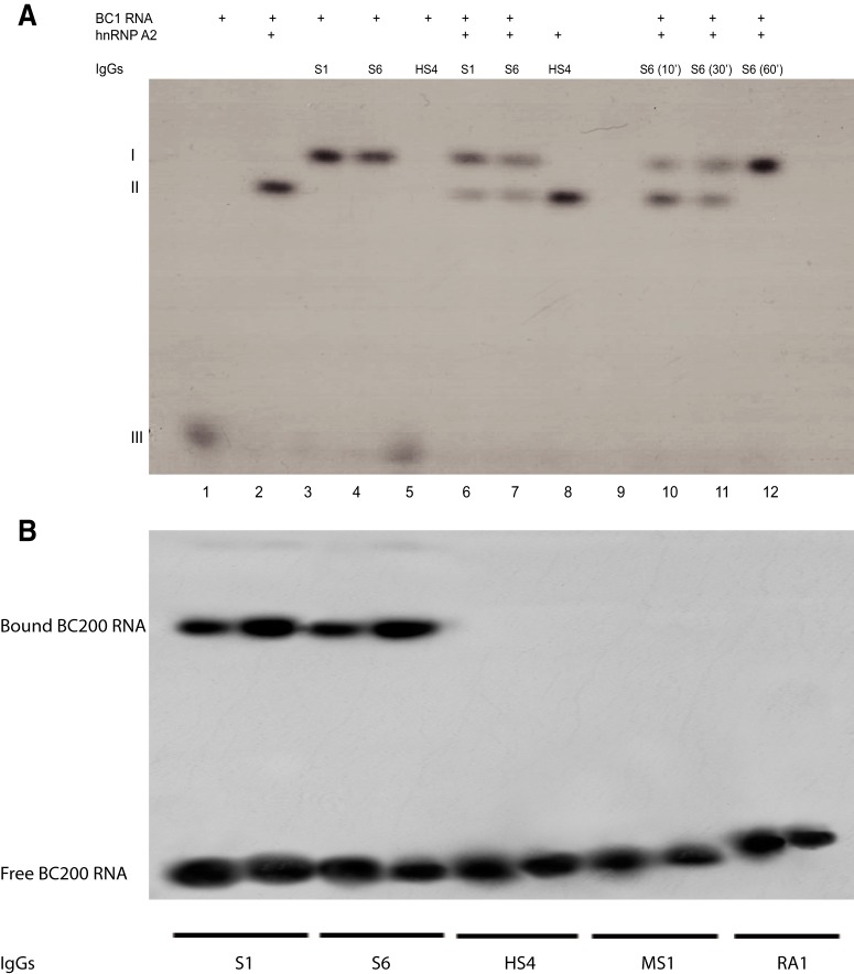 Figure 6.