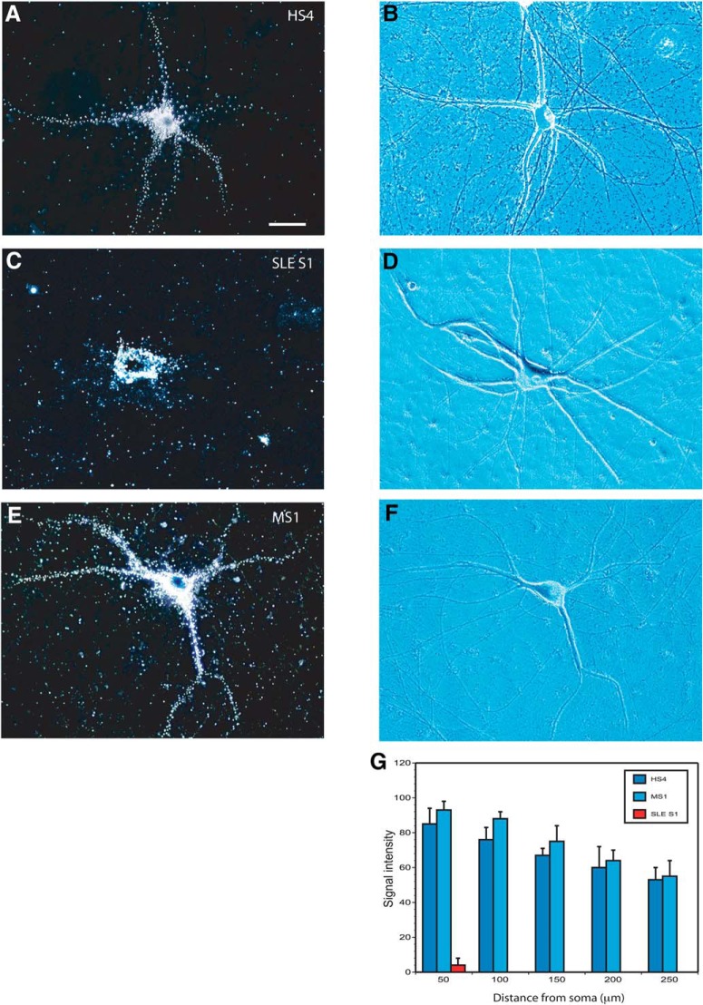 Figure 10.