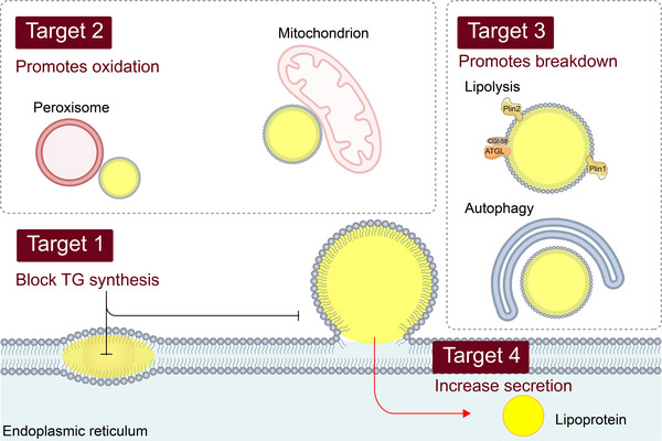 FIGURE 3